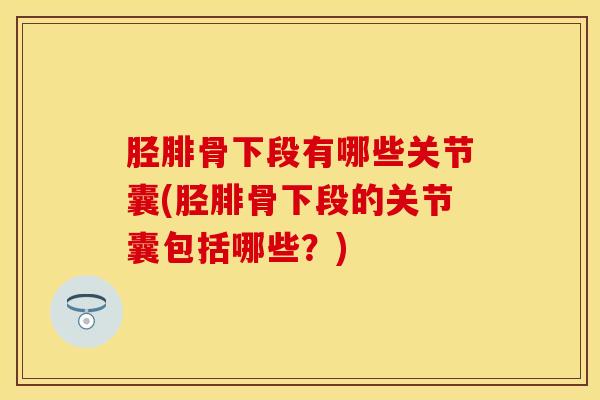 胫腓骨下段有哪些关节囊(胫腓骨下段的关节囊包括哪些？)