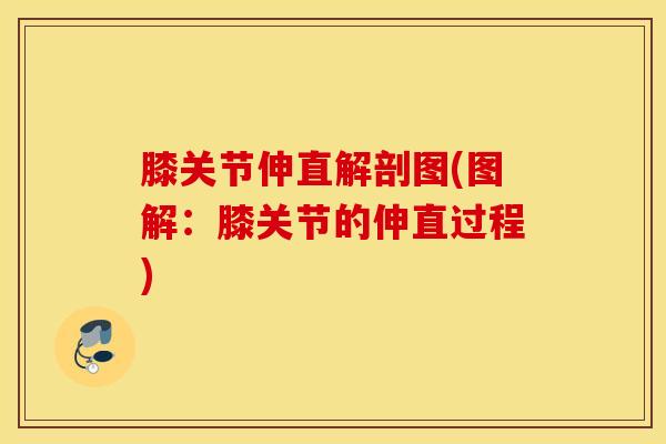 膝关节伸直解剖图(图解：膝关节的伸直过程)