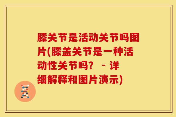 膝关节是活动关节吗图片(膝盖关节是一种活动性关节吗？ - 详细解释和图片演示)