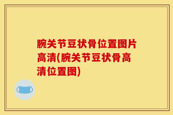 腕关节豆状骨位置图片高清(腕关节豆状骨高清位置图)
