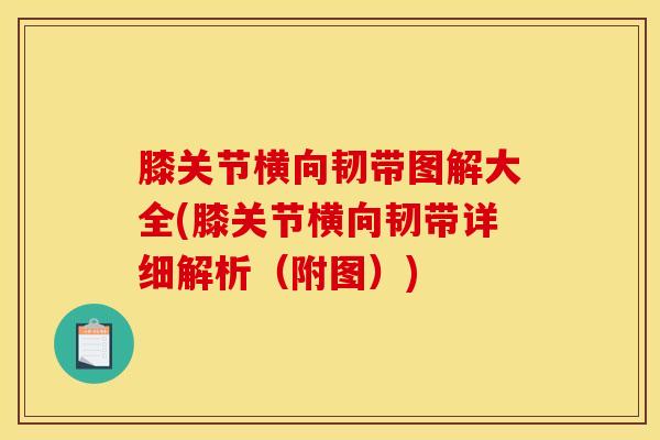 膝关节横向韧带图解大全(膝关节横向韧带详细解析（附图）)