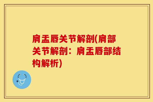 肩盂唇关节解剖(肩部关节解剖:肩盂唇部结构解析) 肩盂唇关节解剖(肩部关节解剖:肩盂唇部结构解析)