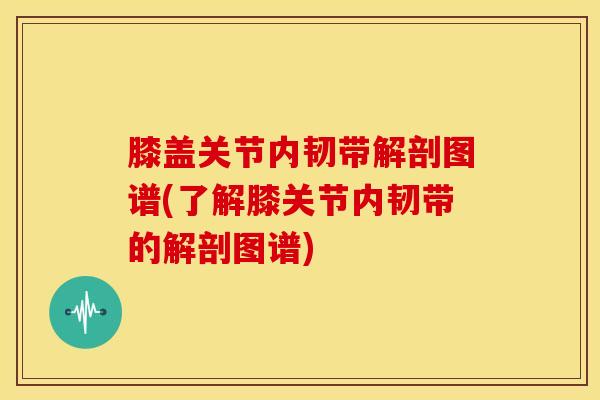 膝盖关节内韧带解剖图谱(了解膝关节内韧带的解剖图谱)