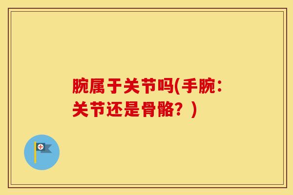 腕属于关节吗(手腕：关节还是骨骼？)