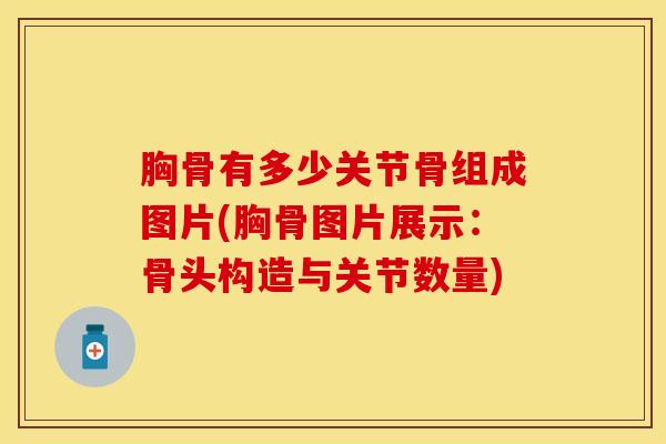 胸骨有多少关节骨组成图片(胸骨图片展示：骨头构造与关节数量)