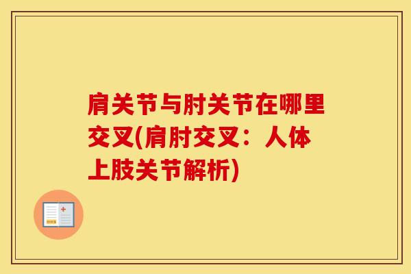 肩关节与肘关节在哪里交叉(肩肘交叉：人体上肢关节解析)