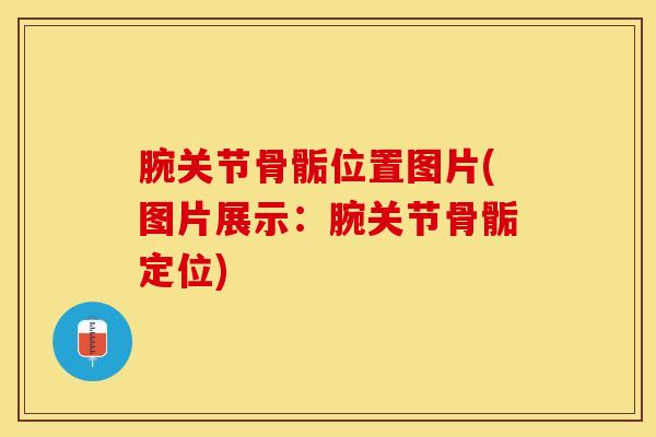 腕关节骨骺位置图片(图片展示：腕关节骨骺定位)