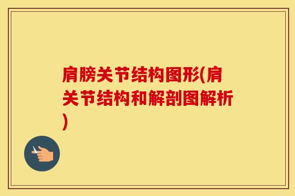 肩膀关节结构图形(肩关节结构和解剖图解析)