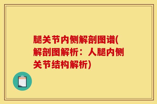 腿关节内侧解剖图谱(解剖图解析：人腿内侧关节结构解析)