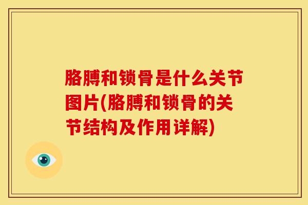 胳膊和锁骨是什么关节图片(胳膊和锁骨的关节结构及作用详解)