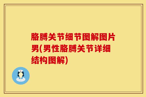 胳膊关节细节图解图片男(男性胳膊关节详细结构图解)