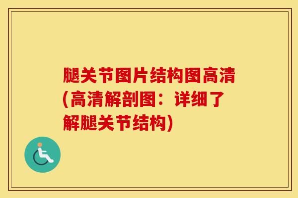 腿关节图片结构图高清(高清解剖图：详细了解腿关节结构)