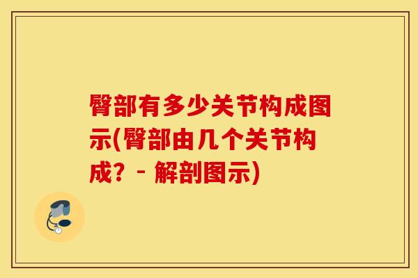 臀部有多少关节构成图示(臀部由几个关节构成？- 解剖图示)