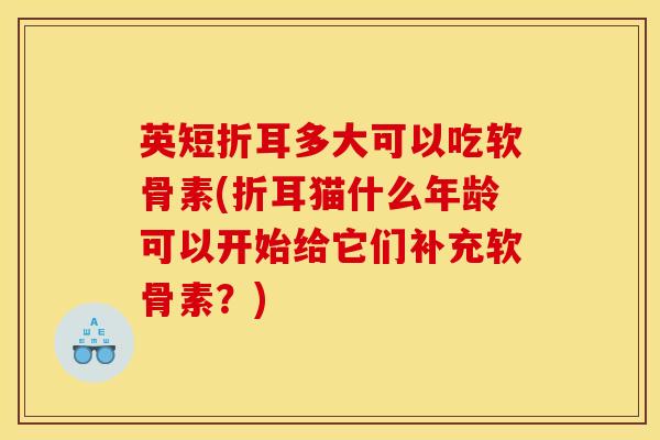 英短折耳多大可以吃软骨素(折耳猫什么年龄可以开始给它们补充软骨素？)