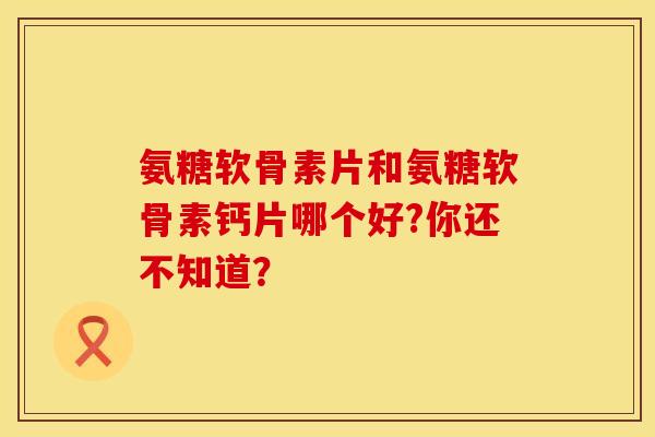 氨糖软骨素片和氨糖软骨素钙片哪个好?你还不知道？
