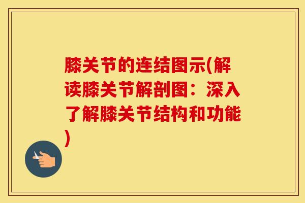 膝关节的连结图示(解读膝关节解剖图：深入了解膝关节结构和功能)