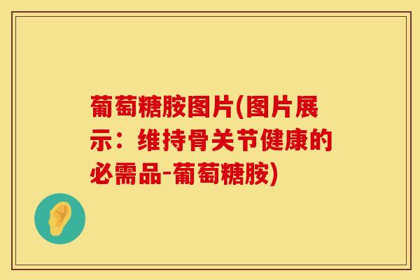 葡萄糖胺图片(图片展示：维持骨关节健康的必需品-葡萄糖胺)