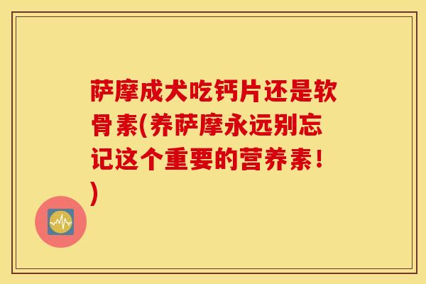 萨摩成犬吃钙片还是软骨素(养萨摩永远别忘记这个重要的营养素！)