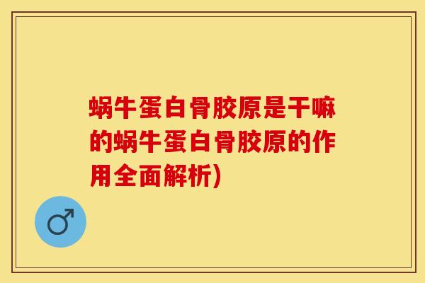 蜗牛蛋白骨胶原是干嘛的蜗牛蛋白骨胶原的作用全面解析)