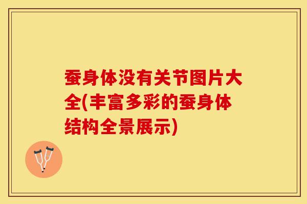 蚕身体没有关节图片大全(丰富多彩的蚕身体结构全景展示) 蚕身体没有关节图片大全(丰富多彩的蚕身体结构全景展示)