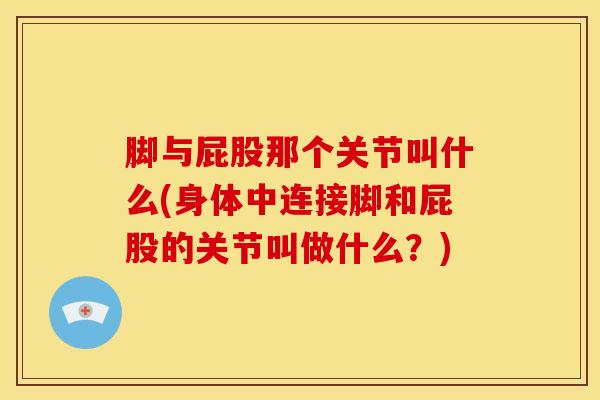 脚与屁股那个关节叫什么(身体中连接脚和屁股的关节叫做什么？)