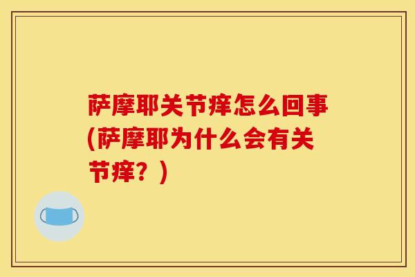 萨摩耶关节痒怎么回事(萨摩耶为什么会有关节痒？)