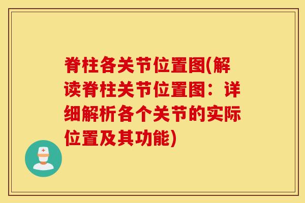 脊柱各关节位置图(解读脊柱关节位置图：详细解析各个关节的实际位置及其功能)