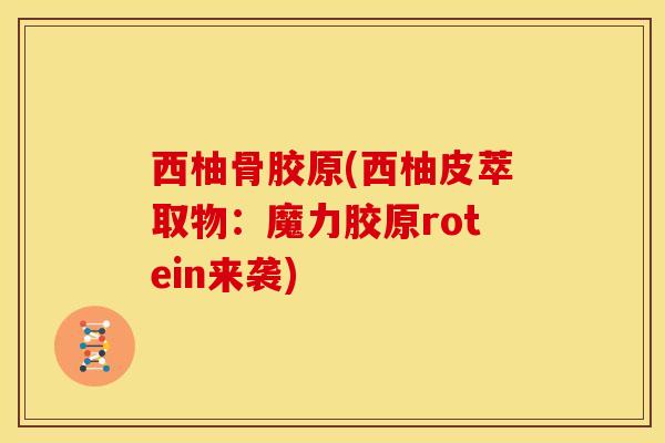 西柚骨胶原(西柚皮萃取物：魔力胶原rotein来袭)