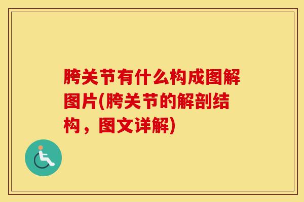 胯关节有什么构成图解图片(胯关节的解剖结构，图文详解)