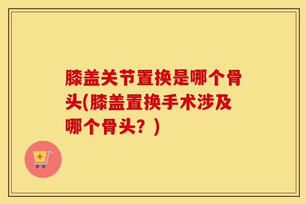 膝盖关节置换是哪个骨头(膝盖置换手术涉及哪个骨头？)