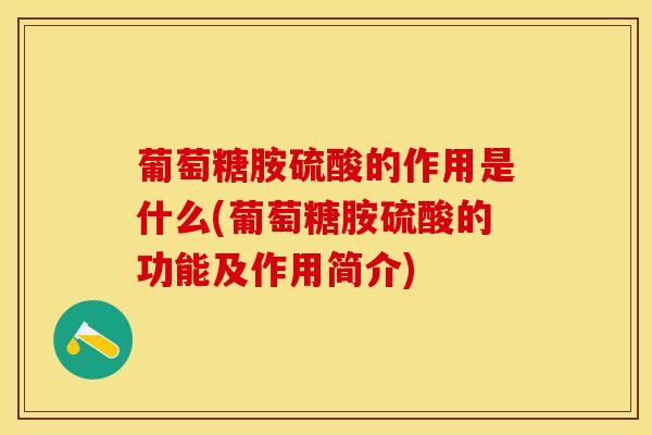 葡萄糖胺硫酸的作用是什么(葡萄糖胺硫酸的功能及作用简介)