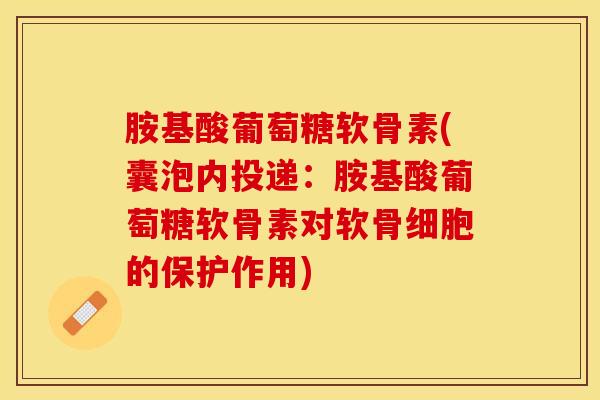 胺基酸葡萄糖软骨素(囊泡内投递：胺基酸葡萄糖软骨素对软骨细胞的保护作用)