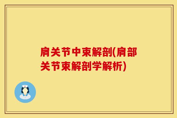 肩关节中束解剖(肩部关节束解剖学解析)