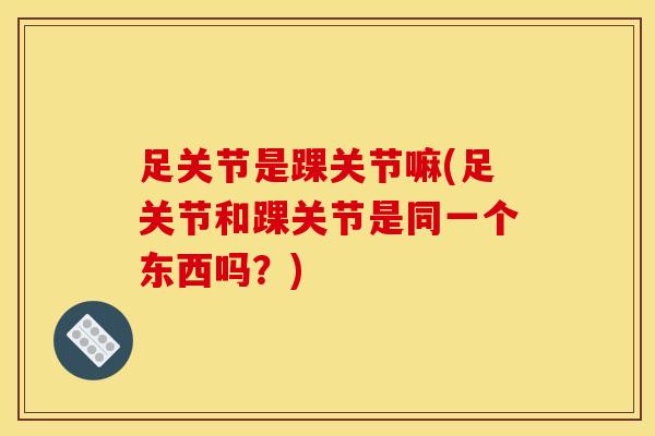 足关节是踝关节嘛(足关节和踝关节是同一个东西吗？)