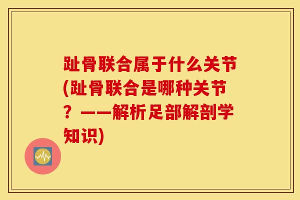趾骨联合属于什么关节(趾骨联合是哪种关节？——解析足部解剖学知识)
