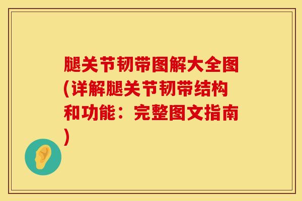 腿关节韧带图解大全图(详解腿关节韧带结构和功能：完整图文指南)