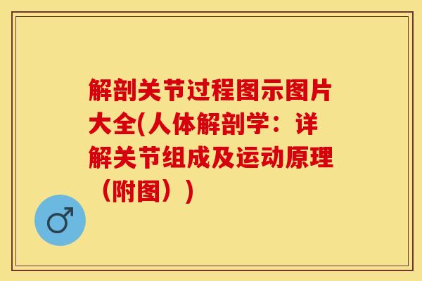解剖关节过程图示图片大全(人体解剖学：详解关节组成及运动原理（附图）)