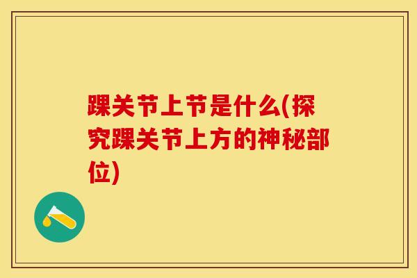 踝关节上节是什么(探究踝关节上方的神秘部位)