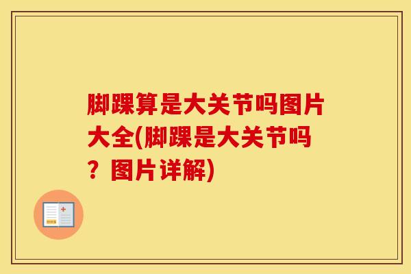 脚踝算是大关节吗图片大全(脚踝是大关节吗？图片详解)