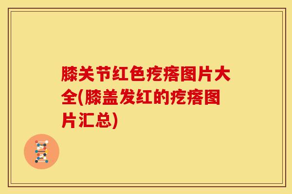 膝关节红色疙瘩图片大全(膝盖发红的疙瘩图片汇总)