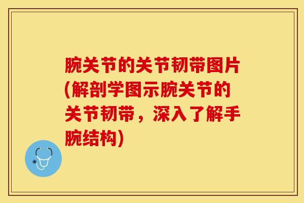 腕关节的关节韧带图片(解剖学图示腕关节的关节韧带，深入了解手腕结构)