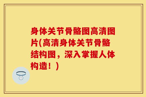 身体关节骨骼图高清图片(高清身体关节骨骼结构图，深入掌握人体构造！)