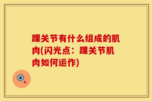 踝关节有什么组成的肌肉(闪光点：踝关节肌肉如何运作)