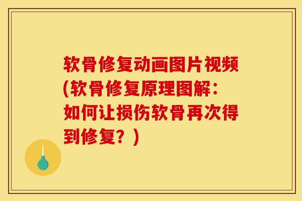 软骨修复动画图片视频(软骨修复原理图解：如何让损伤软骨再次得到修复？)