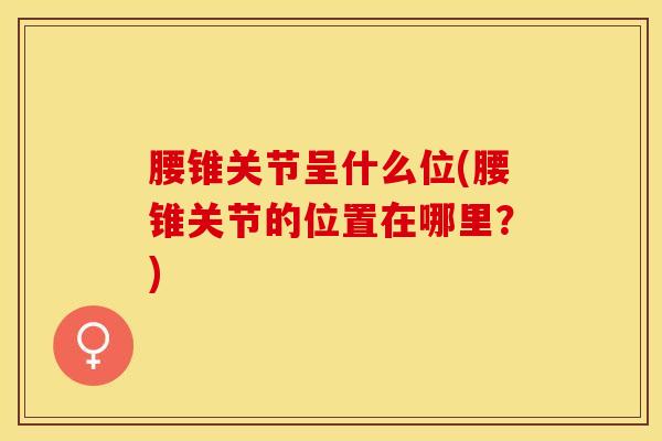 腰锥关节呈什么位(腰锥关节的位置在哪里？)