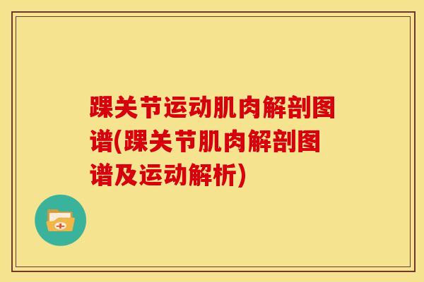 踝关节运动肌肉解剖图谱(踝关节肌肉解剖图谱及运动解析)