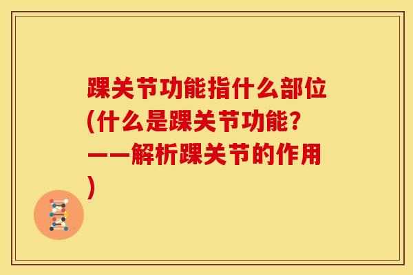 踝关节功能指什么部位(什么是踝关节功能？——解析踝关节的作用)