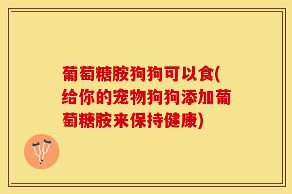 葡萄糖胺狗狗可以食(给你的宠物狗狗添加葡萄糖胺来保持健康)