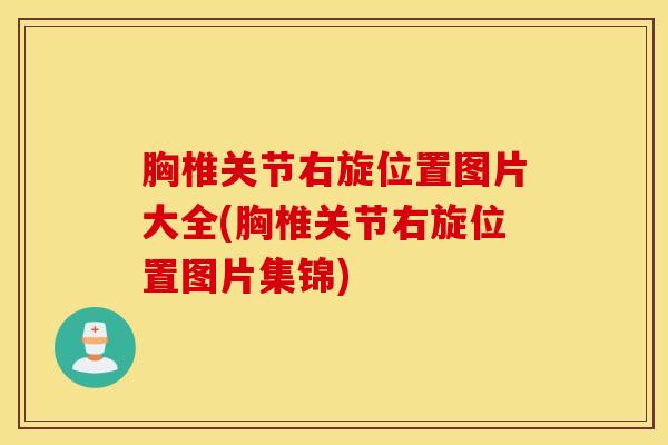 胸椎关节右旋位置图片大全(胸椎关节右旋位置图片集锦)