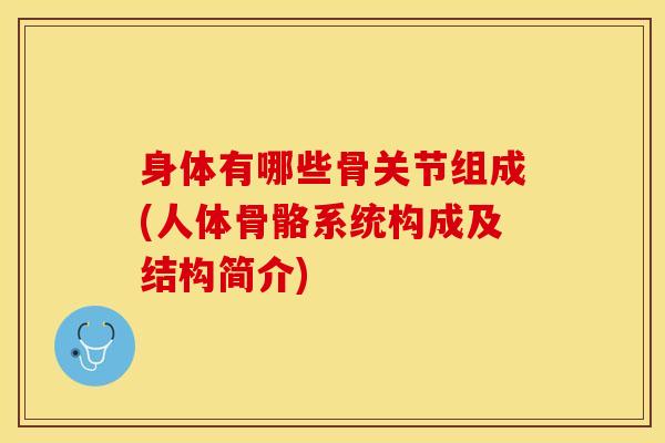 身体有哪些骨关节组成(人体骨骼系统构成及结构简介)